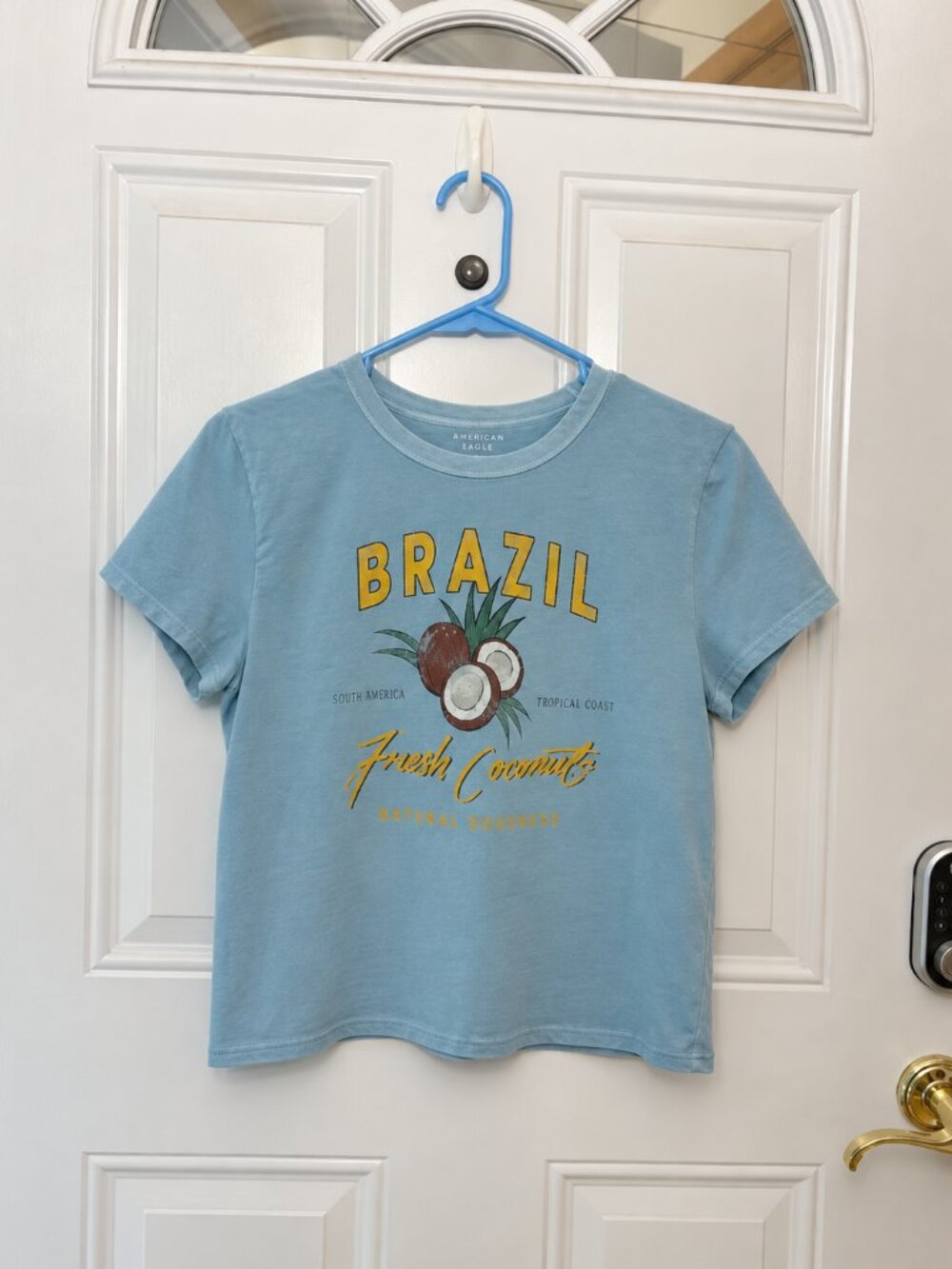 American Eagle Brazil Fresh Coconuts Graphic Tee – Women’s XL – NWOT - Fitted